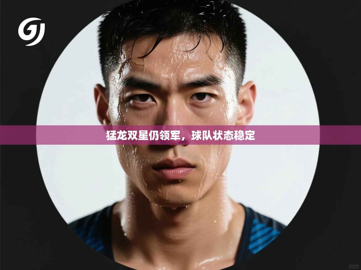 蓝鲸体育足球直播在线观看-猛龙双星仍领军，球队状态稳定  第3张