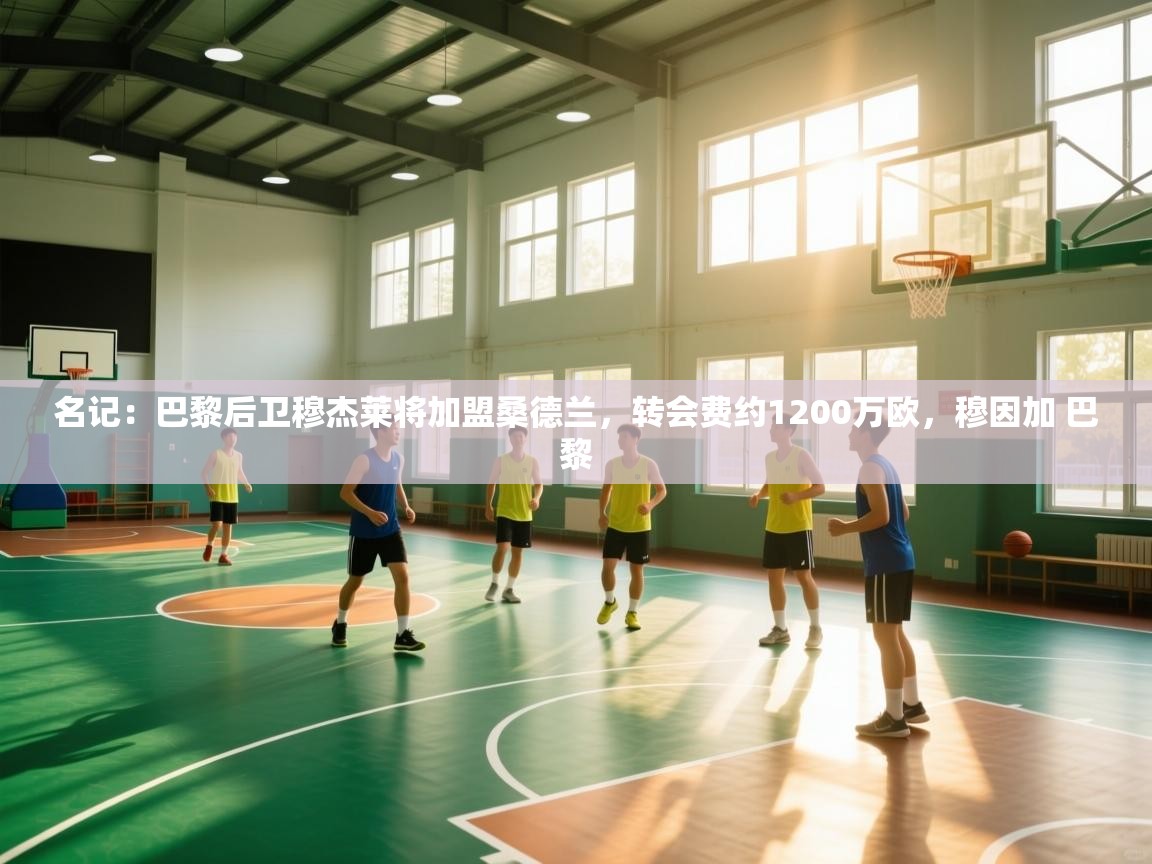 蓝鲸体育官网-名记：巴黎后卫穆杰莱将加盟桑德兰，转会费约1200万欧，穆因加 巴黎  第1张