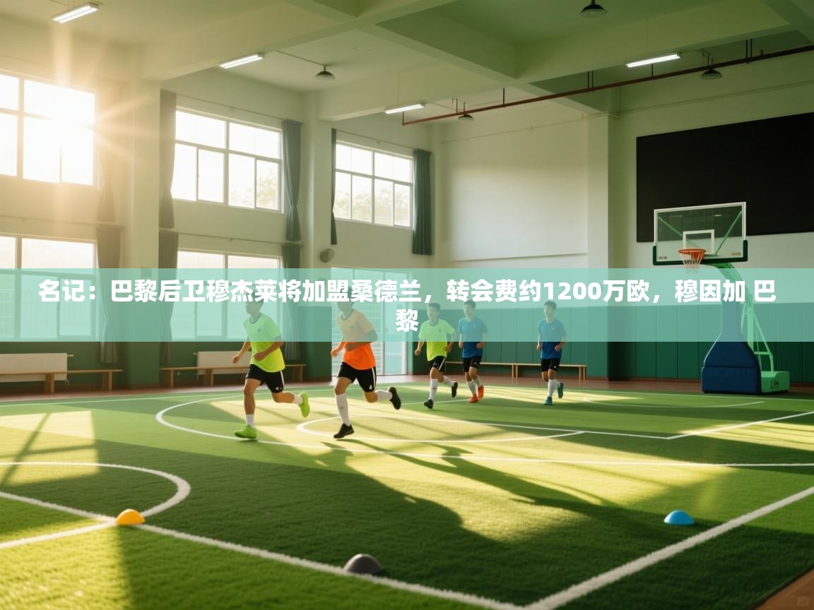 蓝鲸体育官网-名记：巴黎后卫穆杰莱将加盟桑德兰，转会费约1200万欧，穆因加 巴黎  第2张