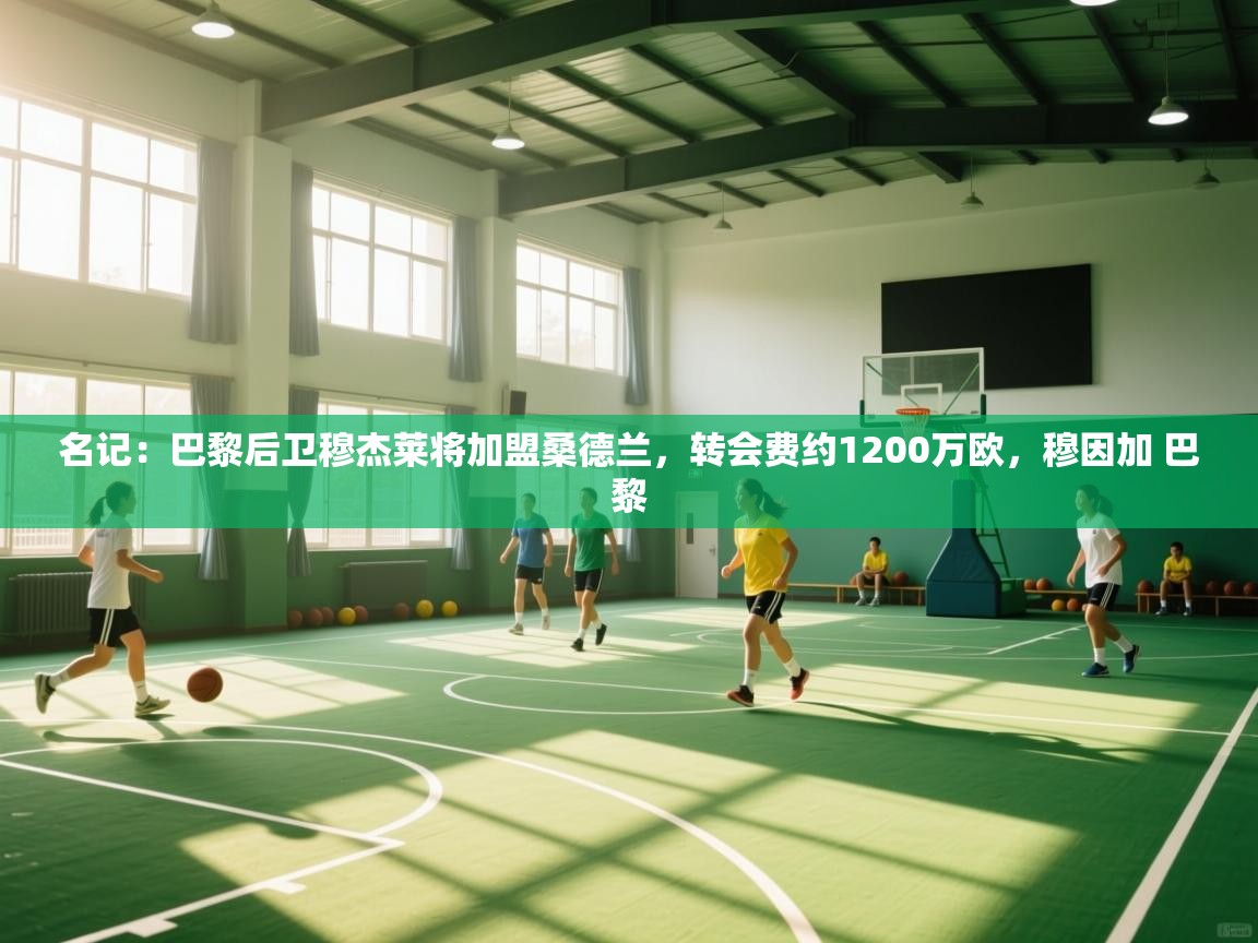 蓝鲸体育官网-名记：巴黎后卫穆杰莱将加盟桑德兰，转会费约1200万欧，穆因加 巴黎  第3张