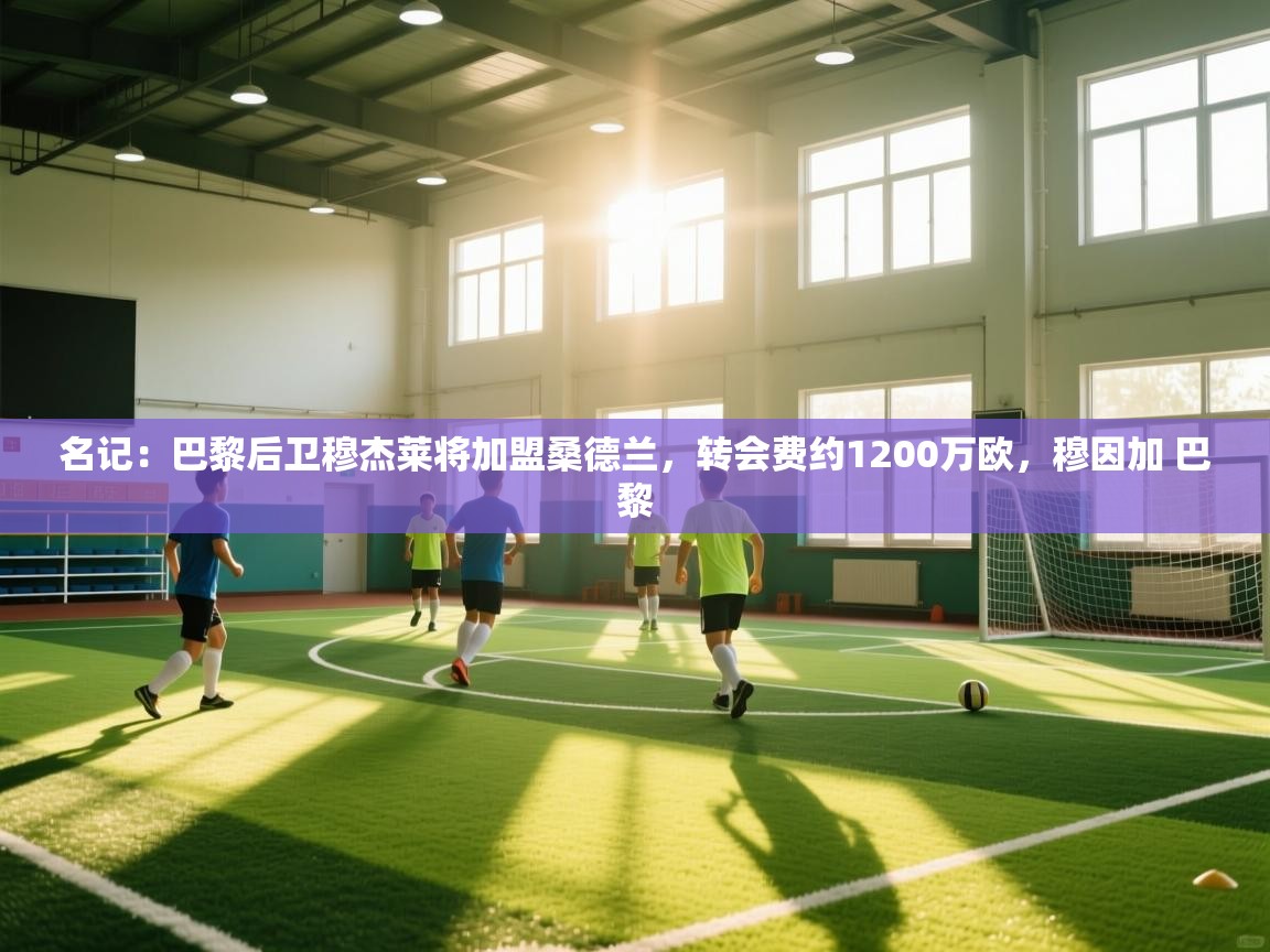 蓝鲸体育官网-名记：巴黎后卫穆杰莱将加盟桑德兰，转会费约1200万欧，穆因加 巴黎  第4张