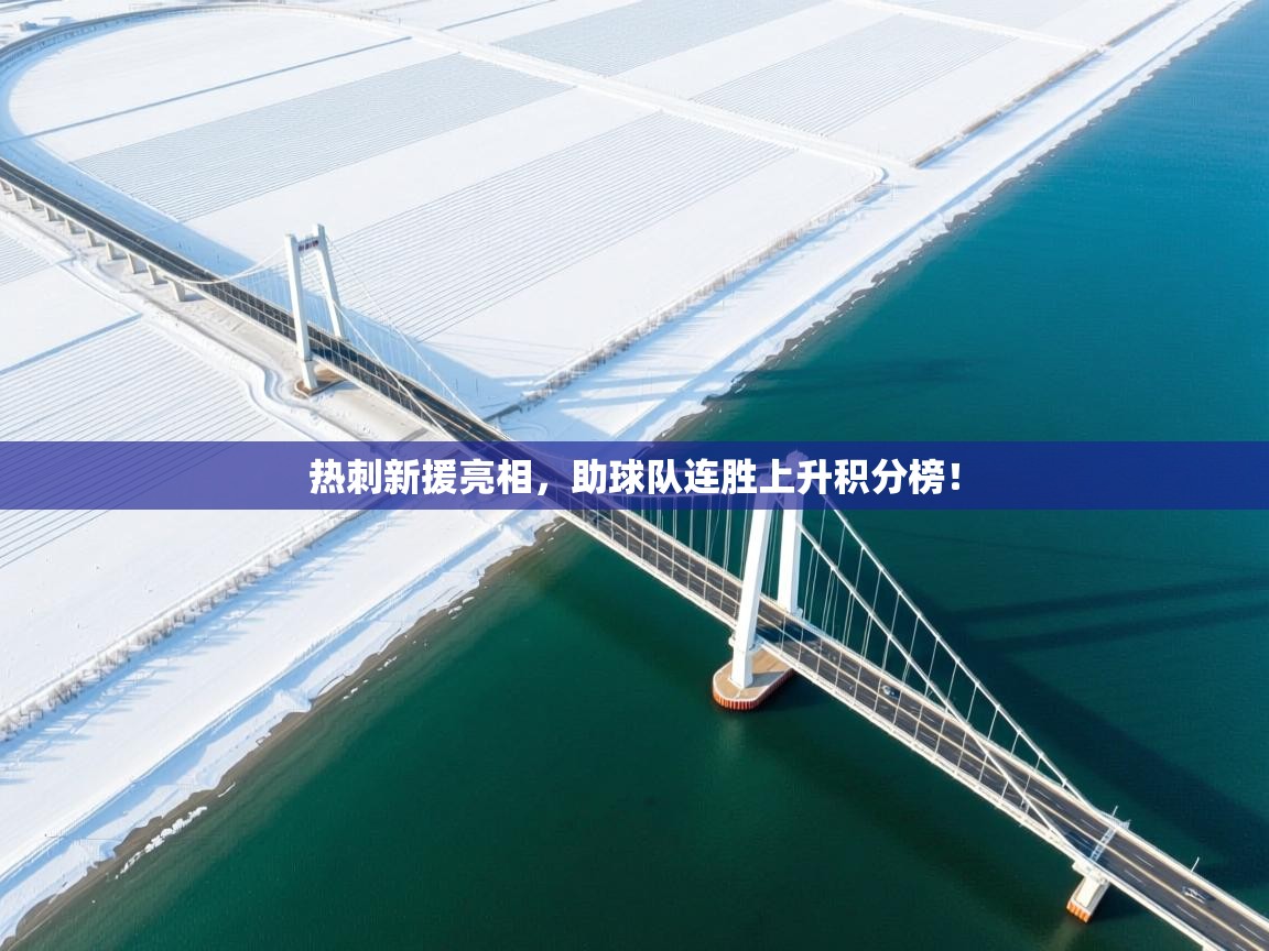 鲸蓝体育平台-热刺新援亮相，助球队连胜上升积分榜！  第3张