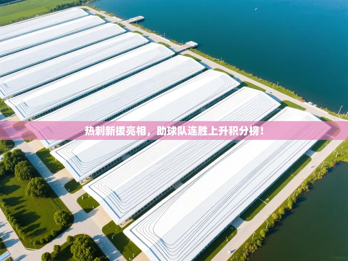 鲸蓝体育平台-热刺新援亮相，助球队连胜上升积分榜！  第2张