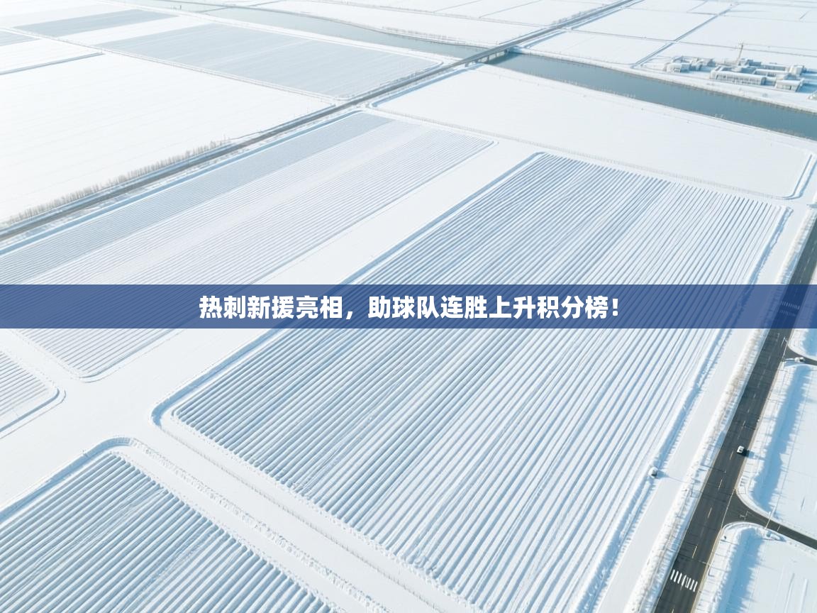 鲸蓝体育平台-热刺新援亮相，助球队连胜上升积分榜！  第4张