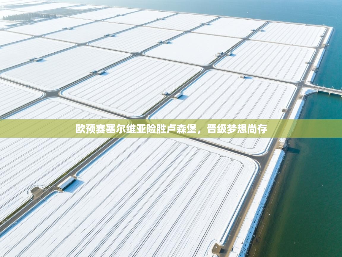 蓝鲸体育在线直播观看-欧预赛塞尔维亚险胜卢森堡，晋级梦想尚存  第3张