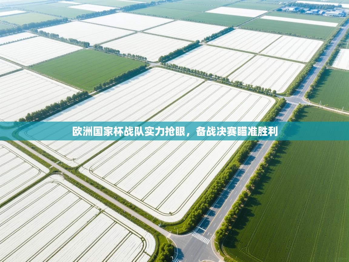 蓝鲸体育直播-欧洲国家杯战队实力抢眼，备战决赛瞄准胜利  第4张