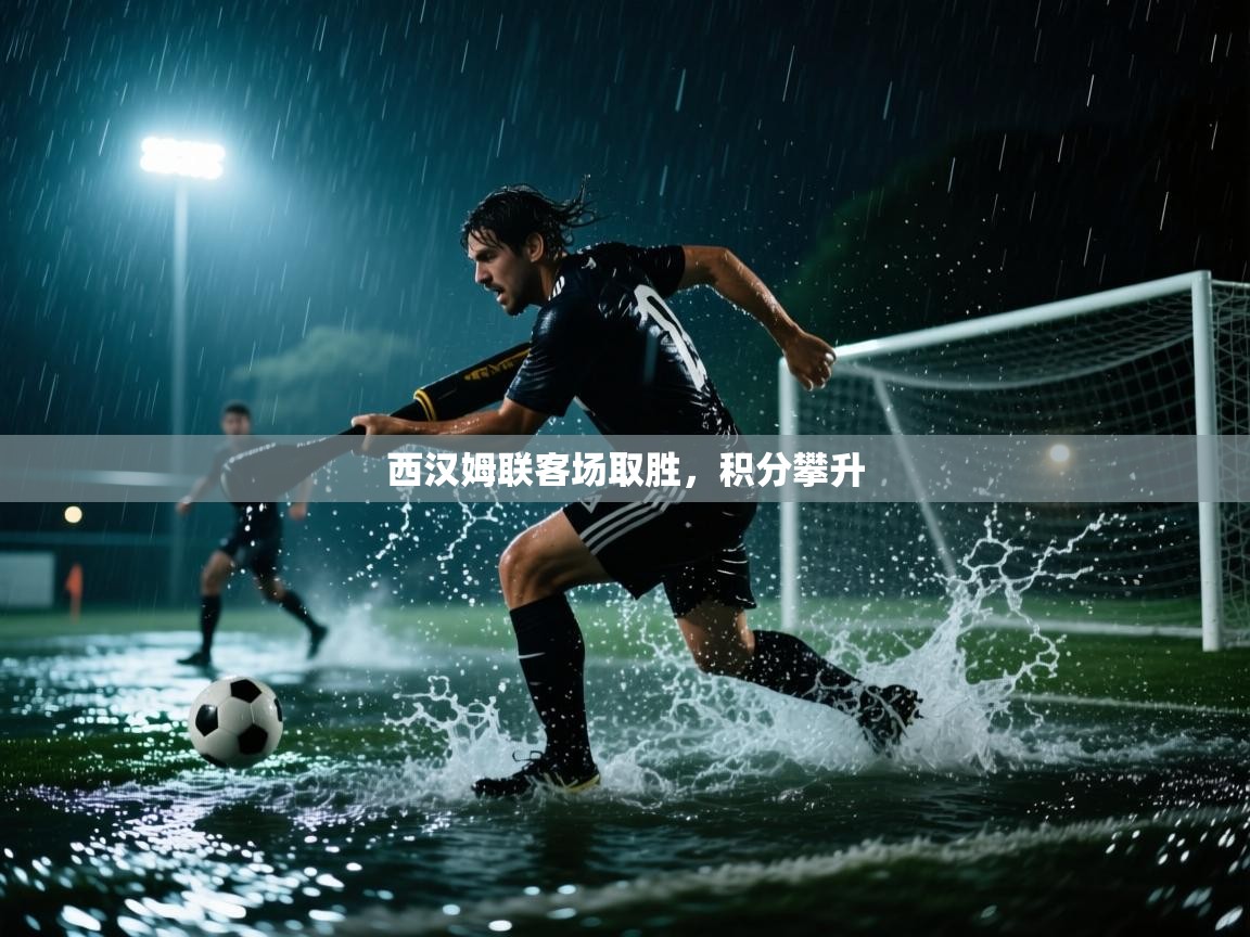 蓝鲸体育app-西汉姆联客场取胜，积分攀升  第1张