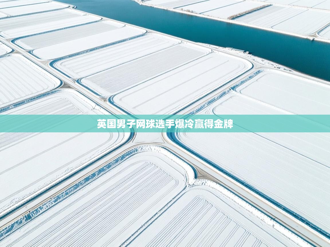 蓝鲸体育电脑版下载官网-英国男子网球选手爆冷赢得金牌  第4张