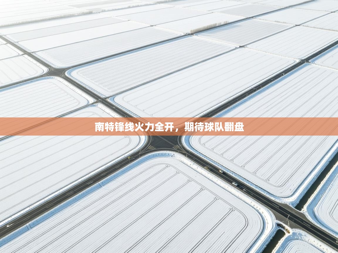 蓝鲸体育app下载电脑版官网-南特锋线火力全开,期待球队翻盘 第2张