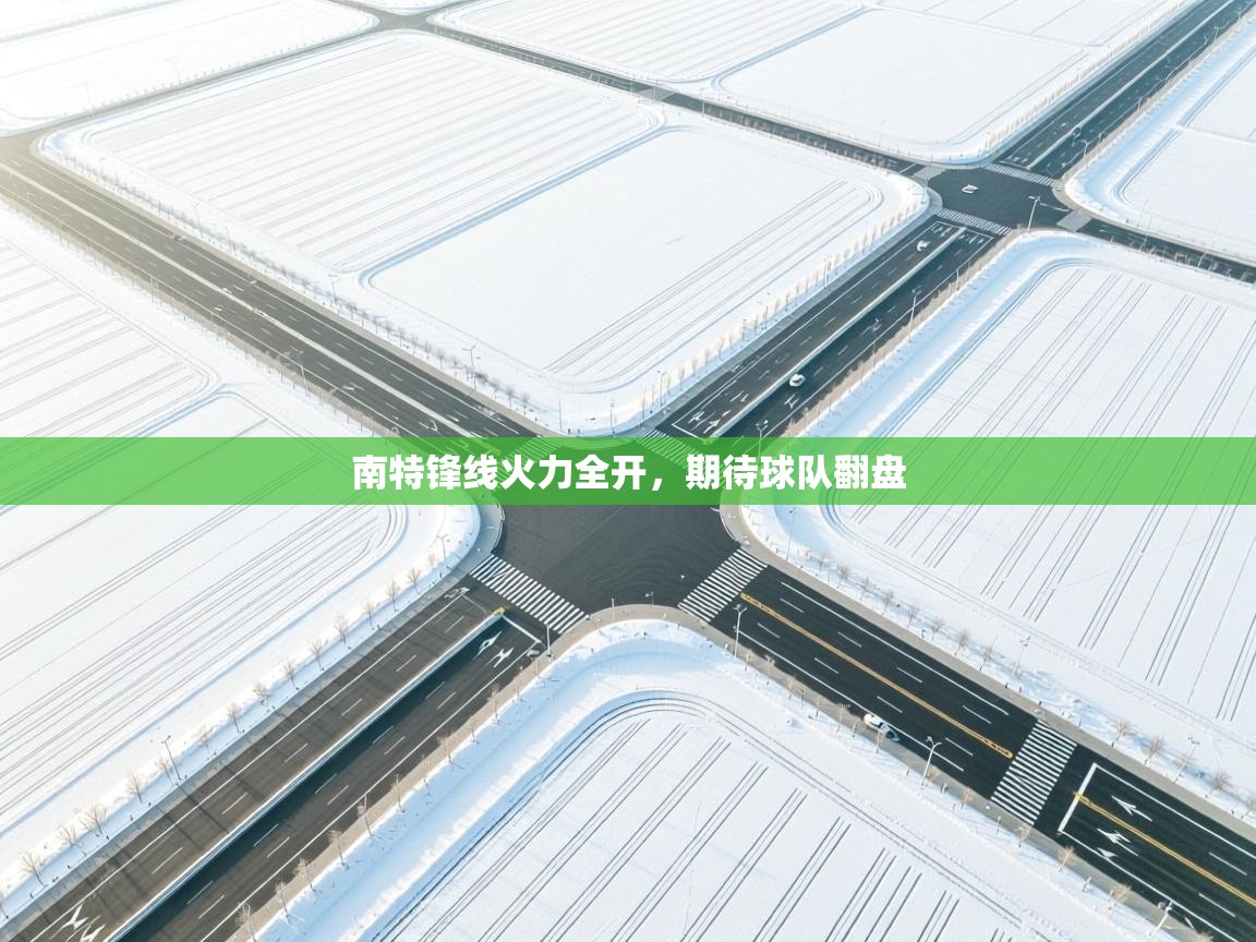 蓝鲸体育app下载电脑版官网-南特锋线火力全开,期待球队翻盘 第3张