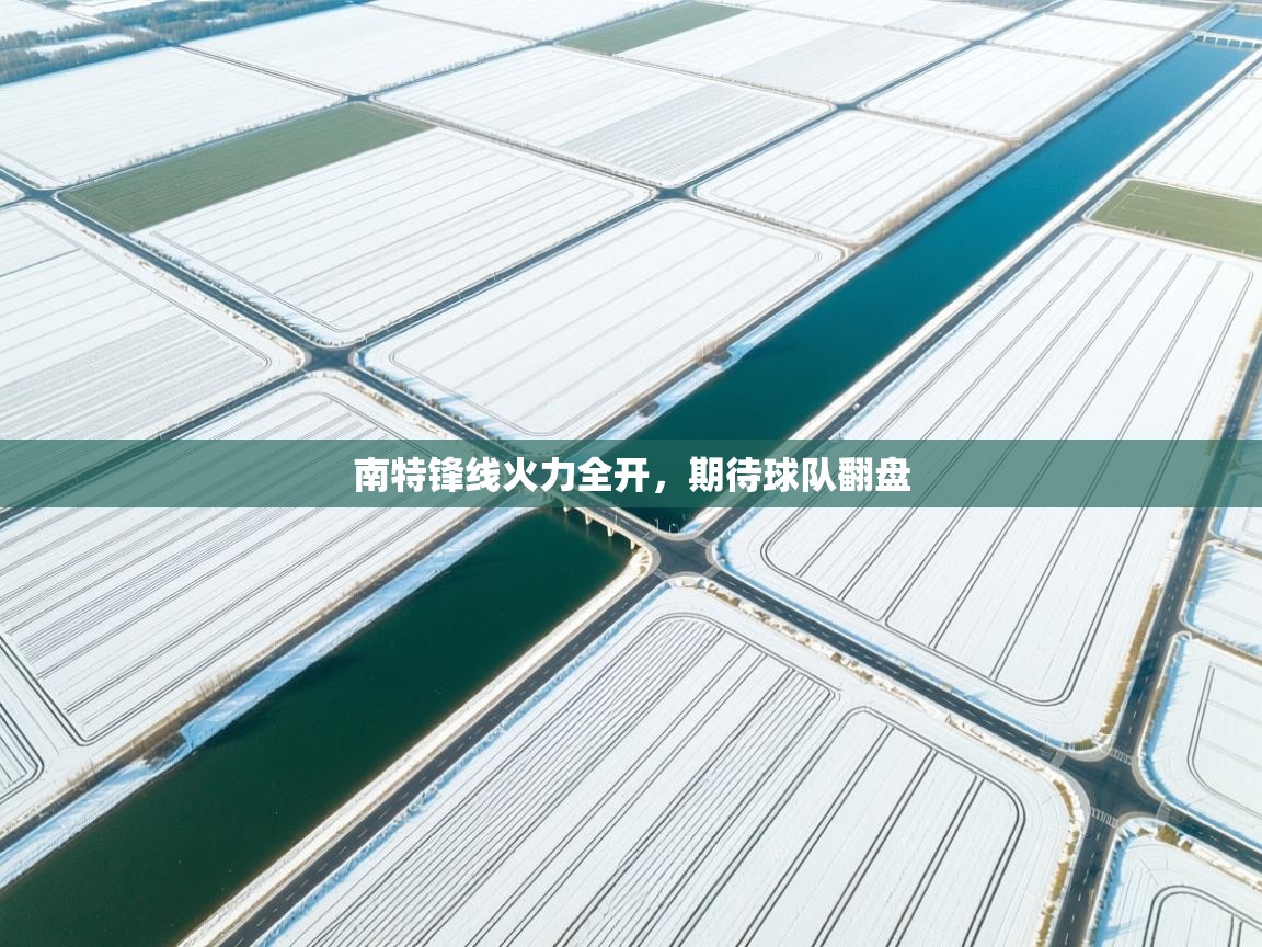 蓝鲸体育app下载电脑版官网-南特锋线火力全开,期待球队翻盘 第4张